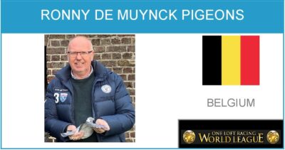 Ronny De Muynck Pigeons