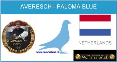 Averesch – Paloma Blue