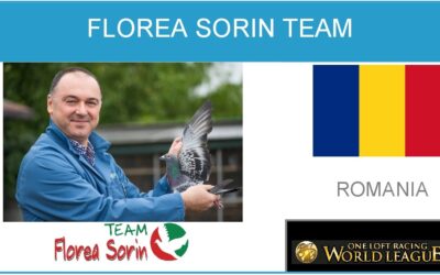 Florea Sorin Team
