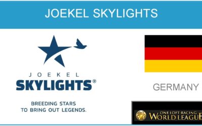 Joekel Skylights – Team Lumen
