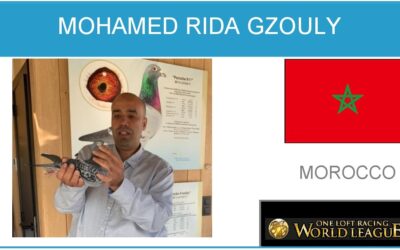 Mohamed Rida Gzouly