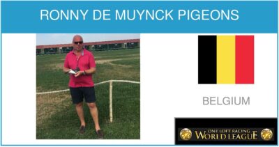 Ronny De Muynck Pigeons