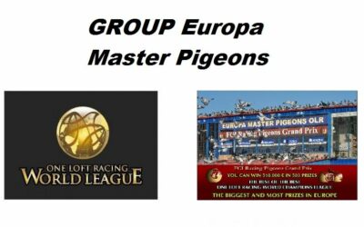 Group Europa Master Pigeons 2022