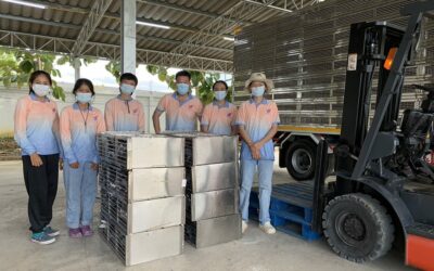THAILAND MASTERS 2022. Inventory checking & prepared O KM release at facility