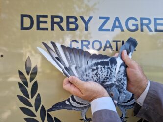 FCI ZAGREB DERBY 2023. AUCTION PART 1