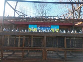 Ukraine Master Grand Prix 2025. Training 2