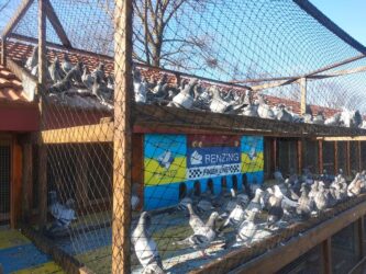 Ukraine Master Grand Prix 2025. Training 1