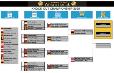 KNOCK OUT Championship 2025