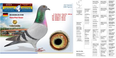 Ukraine Master Grand Prix 2025. Auction