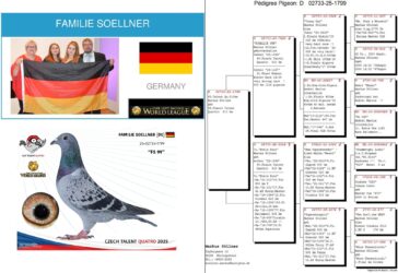 Talent-Quatro Šternberk CZ 2025. Auction