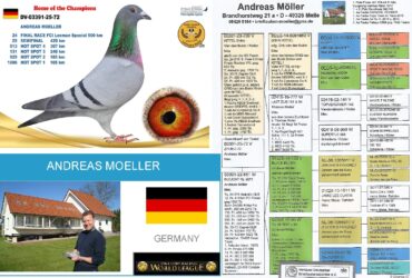 DERBY ZAGREB 2025. Auction