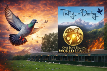 TATRY-DERBY 2026. Rules and Regulation