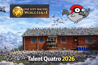 Talent-Quatro Šternberk CZ 2026. Rules and Regulation