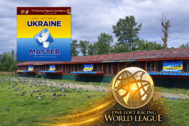 Ukraine Master Grand Prix 2026. Rules