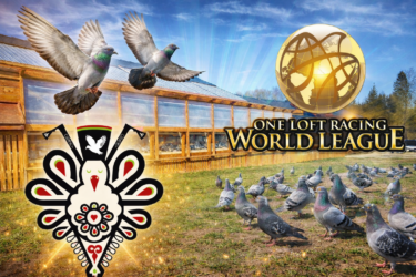 MWG Giewont 2026. Rules