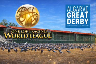 Algarve Great Derby 2026. Rules and Prizes