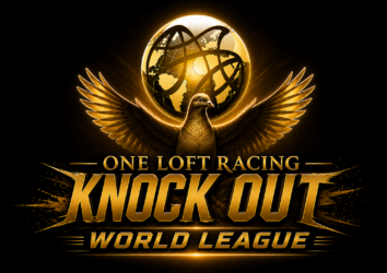 KNOCK OUT Championship 2026